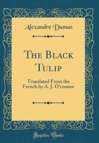 Book Cover for The Black Tulip by Alexandre Dumas