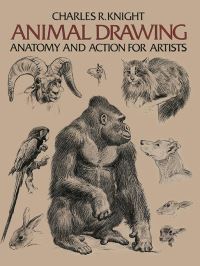 Book Cover for Animal Drawing by Charles R Knight
