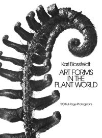 Book Cover for Art Forms in the Plant World by Karl Blossfeldt