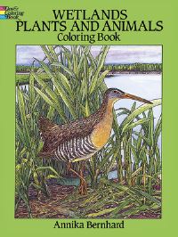 Book Cover for Wetlands Plants and Animals Colouring Book by Annika Bernhard