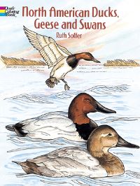 Book Cover for North American Ducks, Geese and Swans by Ruth Soffer