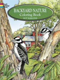 Book Cover for Backyard Nature Colouring Book by Dorothea Barlowe