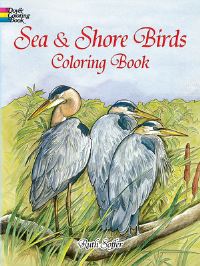 Book Cover for Sea Shore Birds by Soffer
