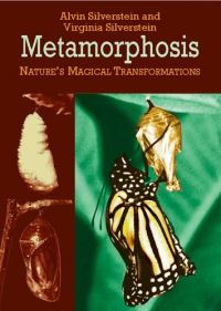 Book Cover for Metamorphosis by Alvin Silverstein, Virginia B Silverstein