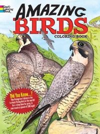 Book Cover for Amazing Birds by Ruth Soffer