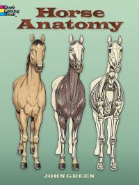 Book Cover for Horse Anatomy by John Green