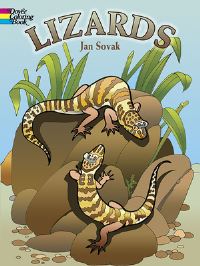 Book Cover for Lizards by Jan Sovak
