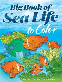 Book Cover for Big Book of Sea Life to Color by Ruth Soffer, Anthony DAttilio, Lucia de Leiris
