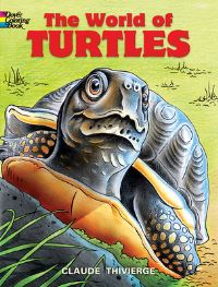 Book Cover for World of Turtles by Claude Thivierge