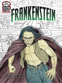 Book Cover for Frankenstein by Mary Wollstonecraft Shelley