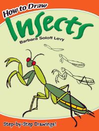 Book Cover for How to Draw Insects by Barbara Soloff Levy
