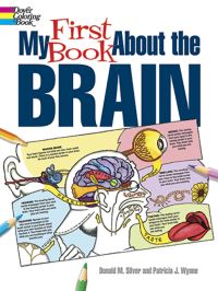 Book Cover for My First Book About the Brain by Donald M Silver, Patricia Wynne