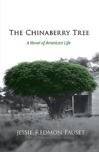 Book Cover for The Chinaberry Tree by Jessie Redmon Fauset