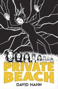 Book Cover for Private Beach by David Hahn
