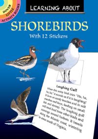 Book Cover for Learning About Shorebirds by Sy Barlowe