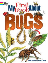 Book Cover for My First Book About Bugs by Patricia Wynne, Donald M Silver