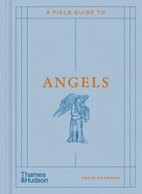Book Cover for A Field Guide to Angels by David Goodman