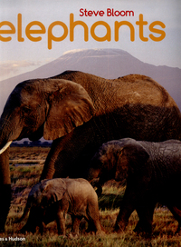 Book Cover for Elephants by David Henry Wilson