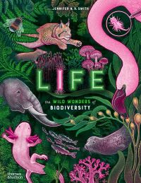 Book Cover for Life by Jennifer N R Smith