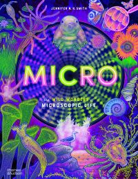 Book Cover for Micro by Jennifer N R Smith