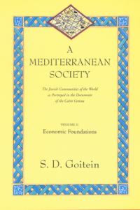 Book Cover for A Mediterranean Society Volume I Economic Foundations by Shelomo Dov Goitein