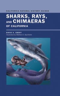Book Cover for Sharks, Rays, and Chimaeras of California by David Ebert