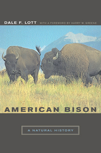 Book Cover for American Bison by Dale F Lott