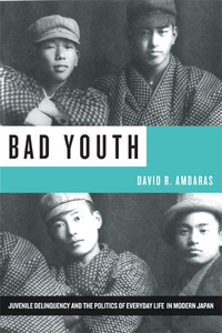 Book Cover for Bad Youth by David Richard Ambaras