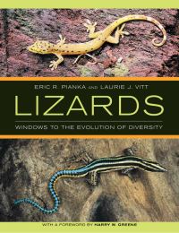 Book Cover for Lizards by Eric R Pianka, Laurie J Vitt