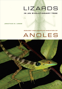 Book Cover for Lizards in an Evolutionary Tree by Jonathan B Losos