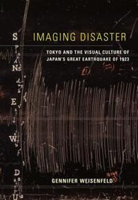 Book Cover for Imaging Disaster by Gennifer S Weisenfeld