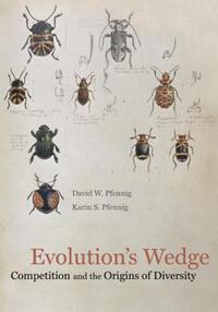 Book Cover for Evolution's Wedge by David W Pfennig, Karin S Pfennig