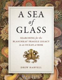 Book Cover for A Sea of Glass by Drew Harvell