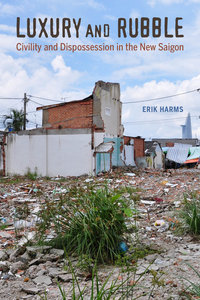 Book Cover for Luxury and Rubble by Erik Harms