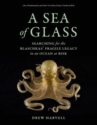 Book Cover for A Sea of Glass by C Drew Harvell