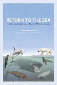 Book Cover for Return to the Sea by Annalisa Berta