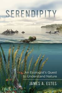 Book Cover for Serendipity by James A Estes