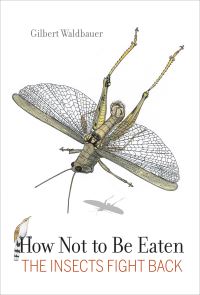 Book Cover for How Not to Be Eaten by Gilbert Waldbauer