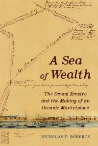 Book Cover for A Sea of Wealth by Nicholas P Roberts
