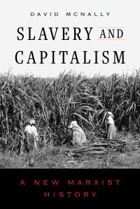 Book Cover for Slavery and Capitalism by David McNally