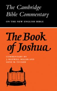 Book Cover for The Book of Joshua by J Maxwell Miller, Gene Milton Tucker