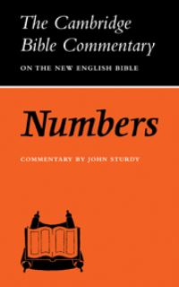 Book Cover for Numbers by John Sturdy