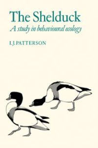 Book Cover for The Shelduck by I J Patterson