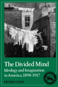 Book Cover for The Divided Mind by Peter J Conn
