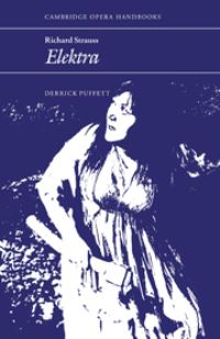 Book Cover for Richard Strauss by Derrick Puffett