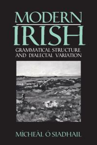 Book Cover for Modern Irish by Micheál O Siadhail