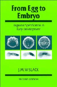 Book Cover for From Egg to Embryo by J M W Slack