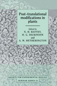 Book Cover for Post-Translational Modifications in Plants by N H Battey, H G Dickinson, A M Hetherington