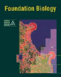 Book Cover for Foundation Biology by Dennis Taylor, Mary Jones