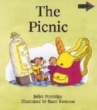 Book Cover for The Picnic South African Edition by Juliet Partridge
